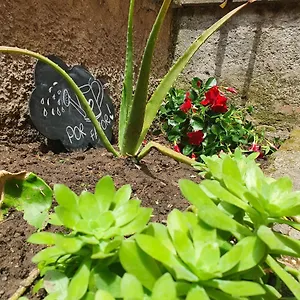 https://lapos-garden.it-romehotels.com